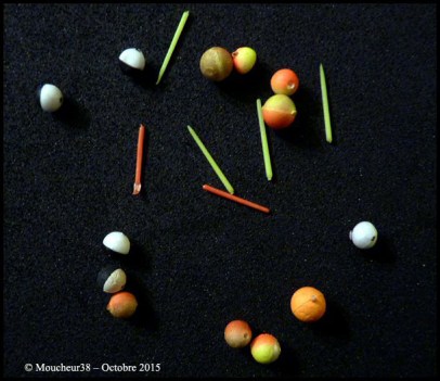 guide fil + batonnets