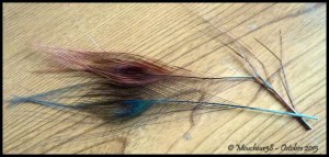 herls de paon ébarbé