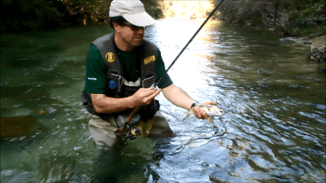 Instantané 2 (09-10-2015 20-46)