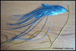 lancette Hoffman grise