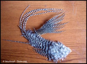 lancette hoffman grizzly