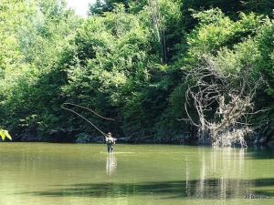 11222125_411077672410600_2805308696020629816_n