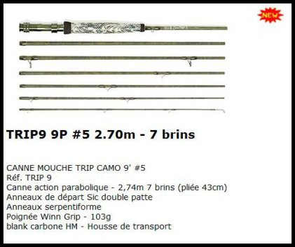 Capture canne mouche sempè