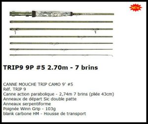 Capture canne mouche sempè