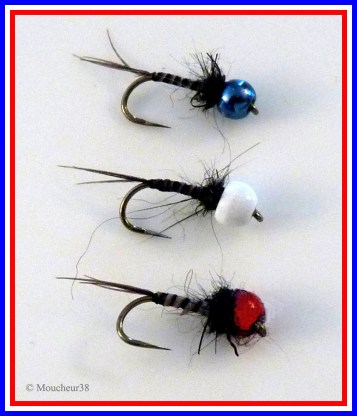 nymphes BBR