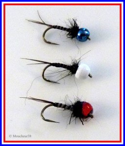 nymphes BBR