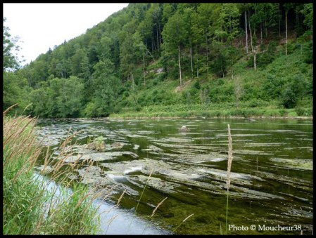 Le Doubs à Goumois