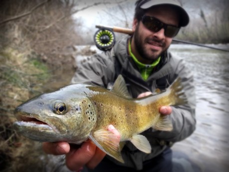 chartreusepechemouche