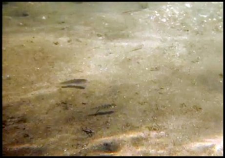 Instantané 2 (29-04-2016 21-09)