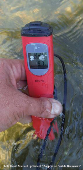 14222148_1681743945486152_3568810967308375648_n