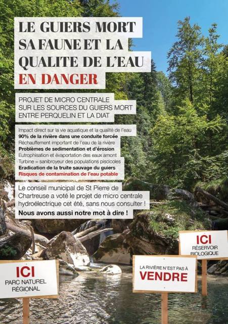 14724636_1659275791050035_626706852048384254_n