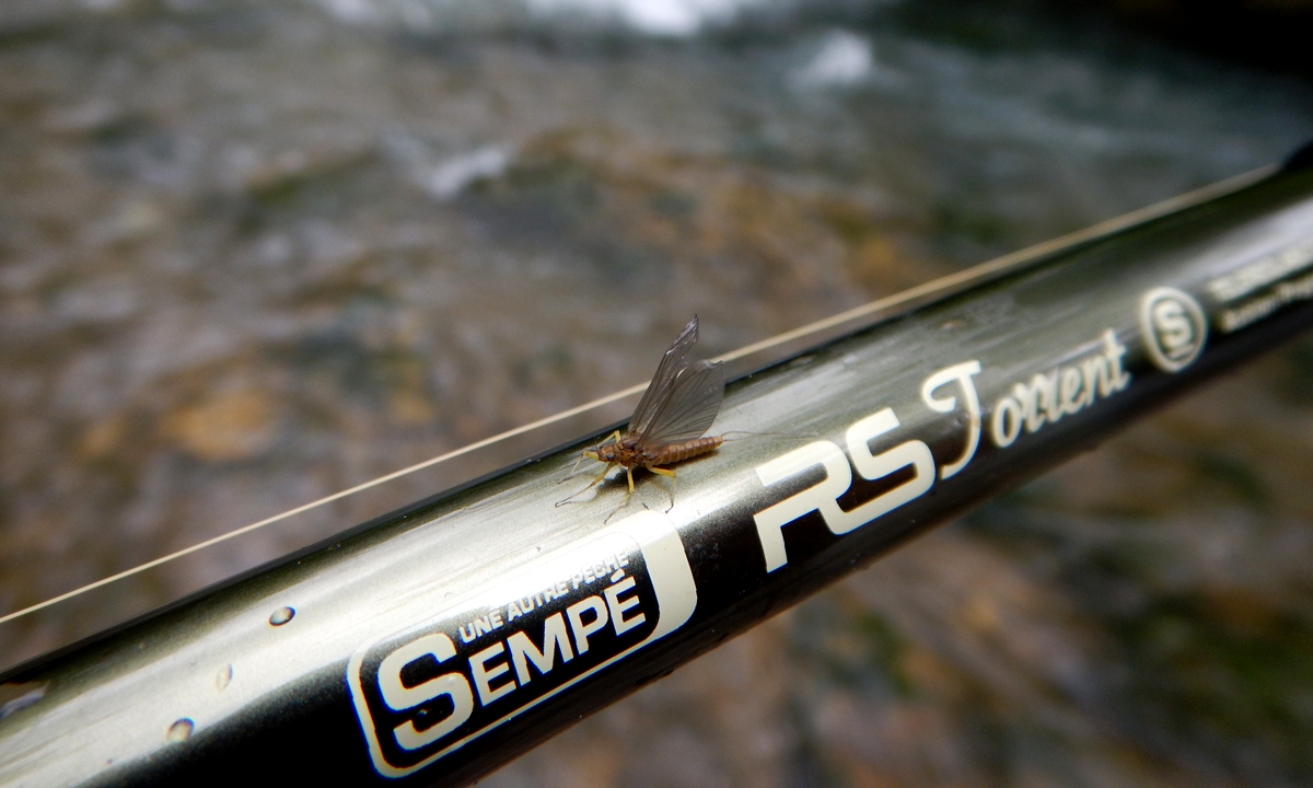 Canne truite torrent Colmic CREEK TROUT mt.8,5 téléréglage