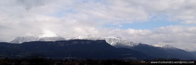 la Chartreuse enneigée avec la grande Sure en 1 ère ligne.