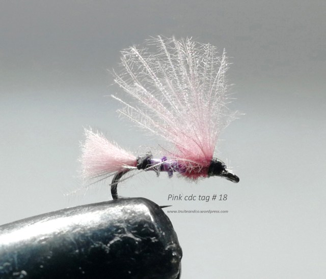 Pink Cdc La Busca pink cdc – TRUITES & COMPAGNIES