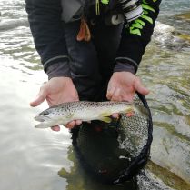 311262136_3255846068022854_6530890286382462768_n