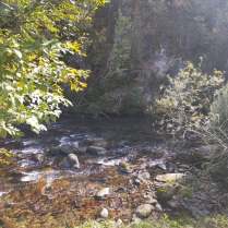 312132951_596615138928042_4647106442428549360_n