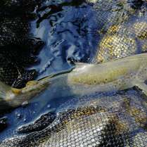 312236674_945589772982655_5789473500411327434_n(2)