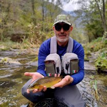 David sur le Chiese fario 36 cm